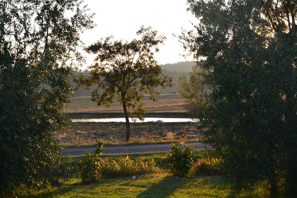 Agriturismo Podere Micitto Usi Oda fotoğraf