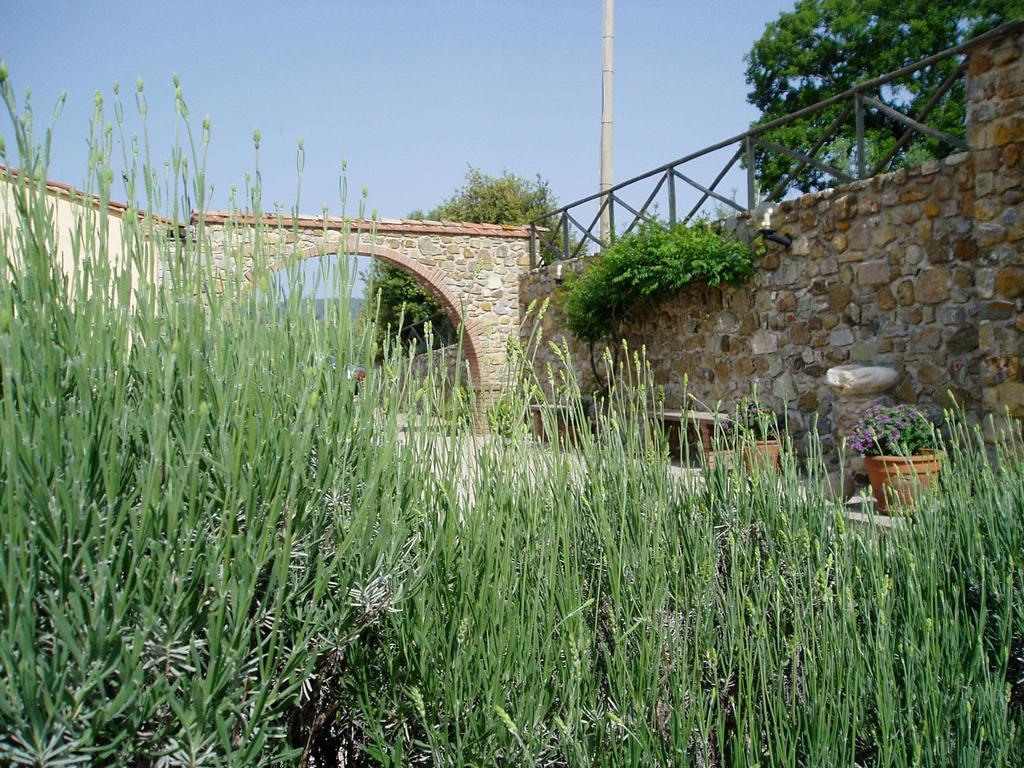 Agriturismo Podere Micitto Usi Dış mekan fotoğraf
