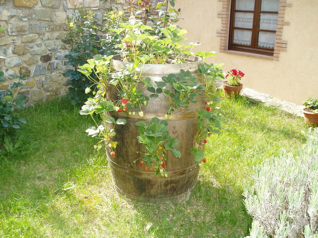 Agriturismo Podere Micitto Usi Dış mekan fotoğraf