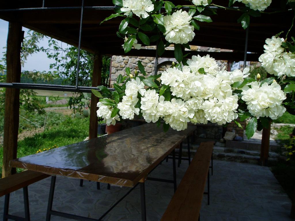 Agriturismo Podere Micitto Usi Dış mekan fotoğraf