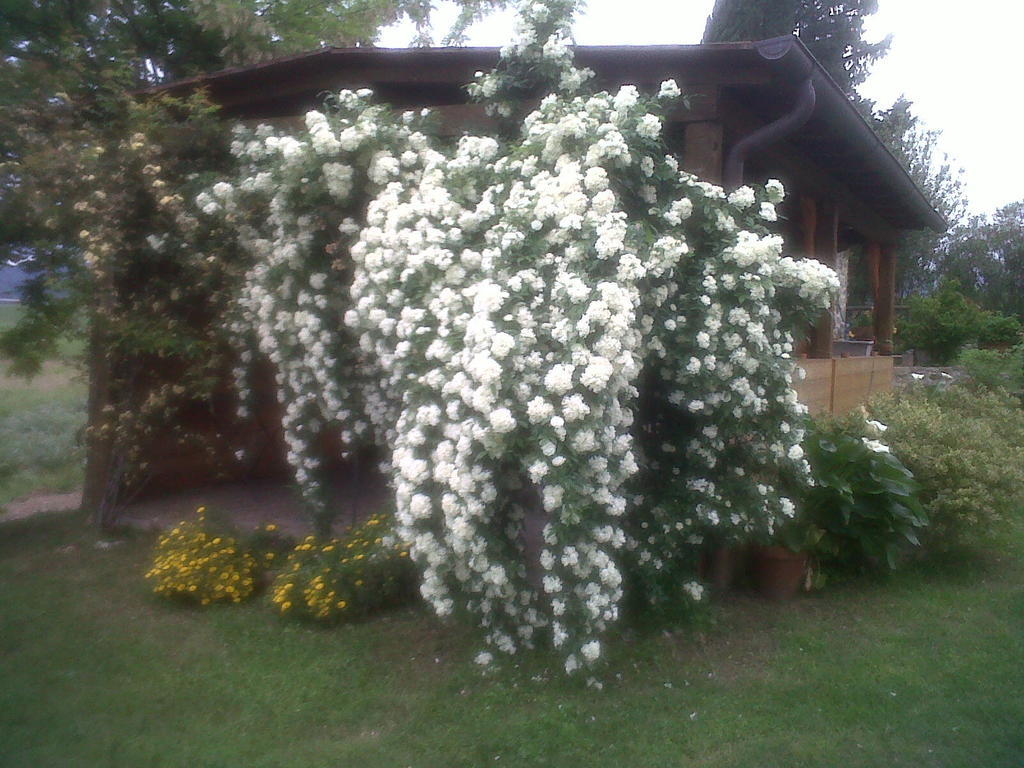 Agriturismo Podere Micitto Usi Dış mekan fotoğraf