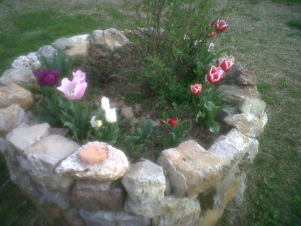Agriturismo Podere Micitto Usi Dış mekan fotoğraf