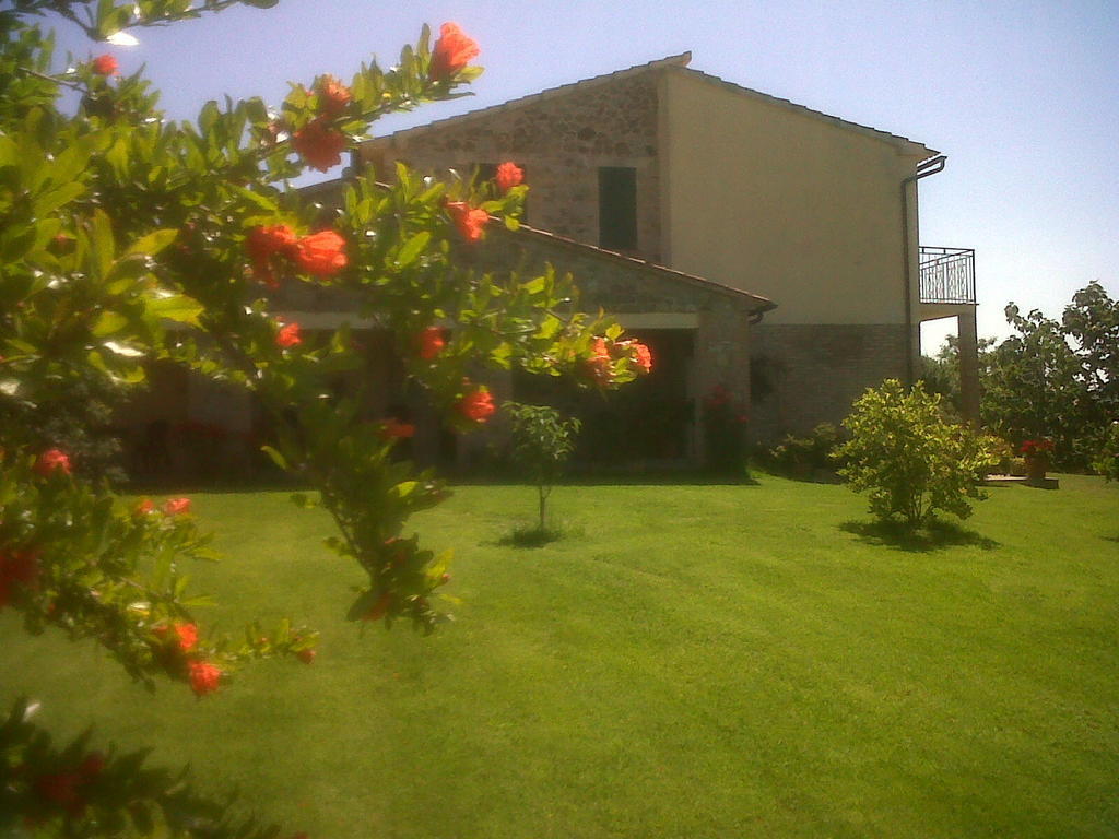 Agriturismo Podere Micitto Usi Dış mekan fotoğraf