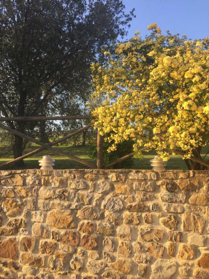 Agriturismo Podere Micitto Usi Dış mekan fotoğraf