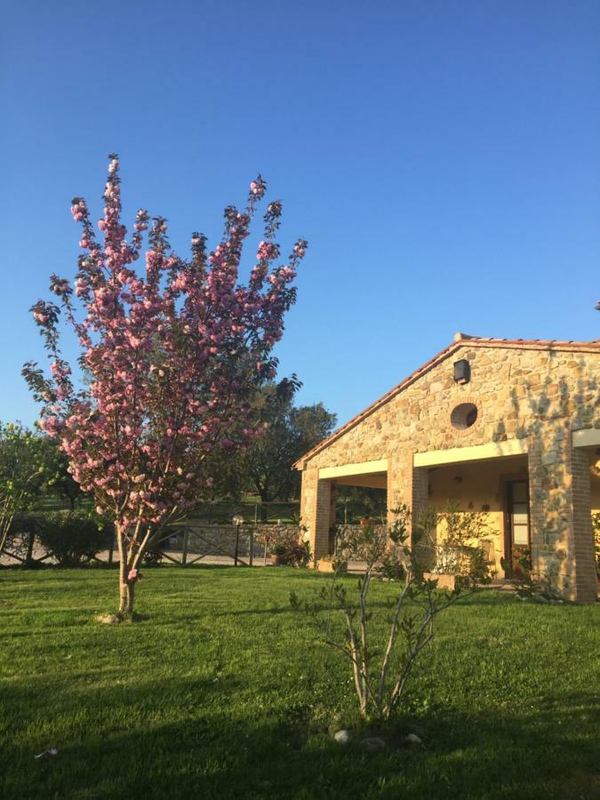 Agriturismo Podere Micitto Usi Dış mekan fotoğraf